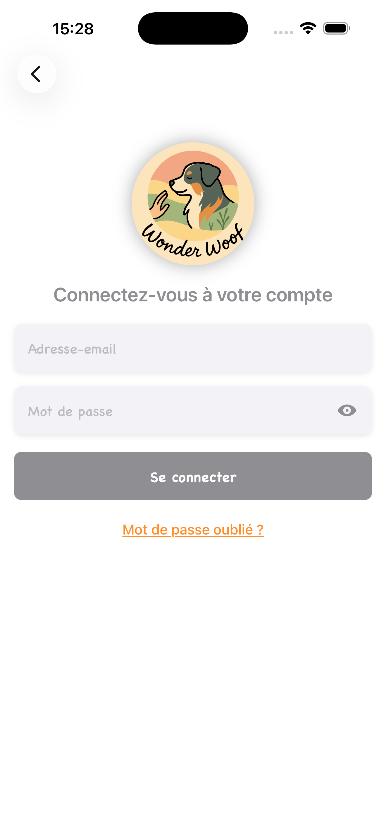 Aperçu application iPhone 1